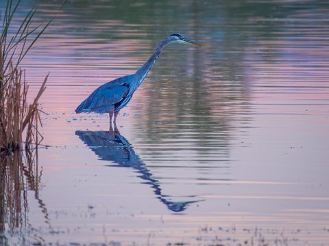 img_0607-1
