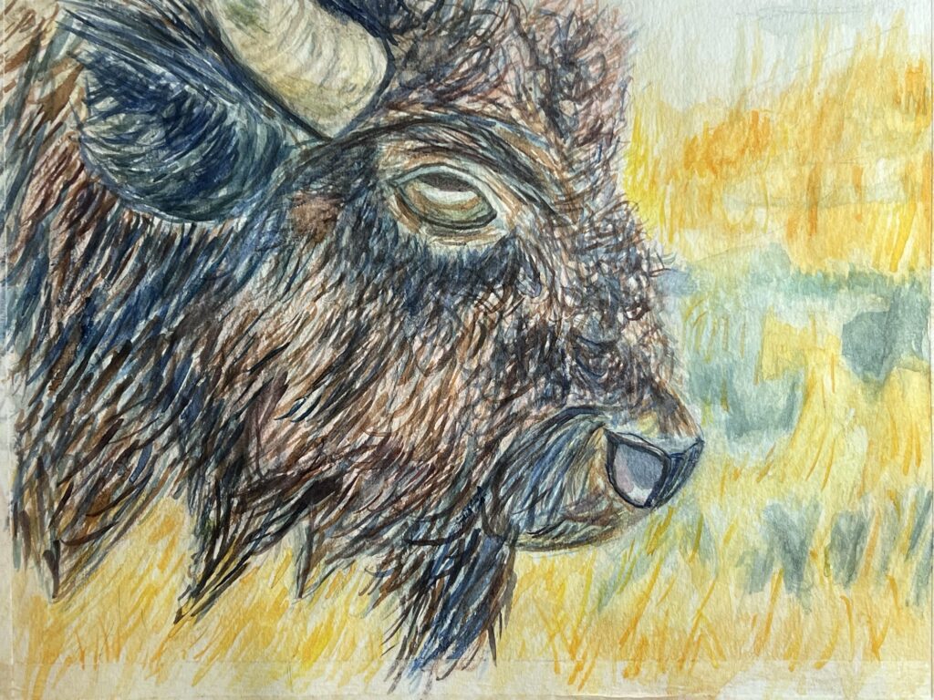 Expanding Artistic Practice